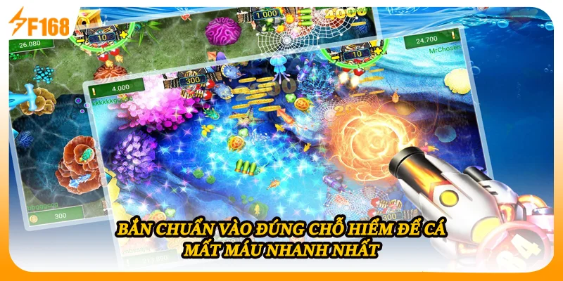 Bắn chuẩn vào đúng chỗ hiểm để cá mất máu nhanh nhất