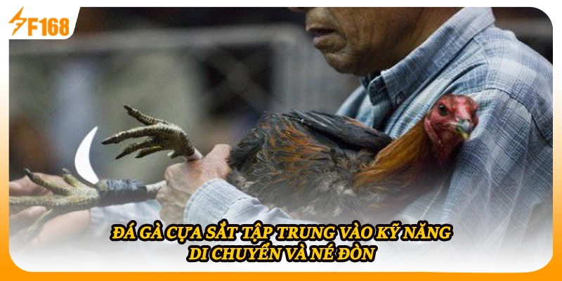 Đá gà cựa sắt tập trung vào kỹ năng di chuyển và né đòn