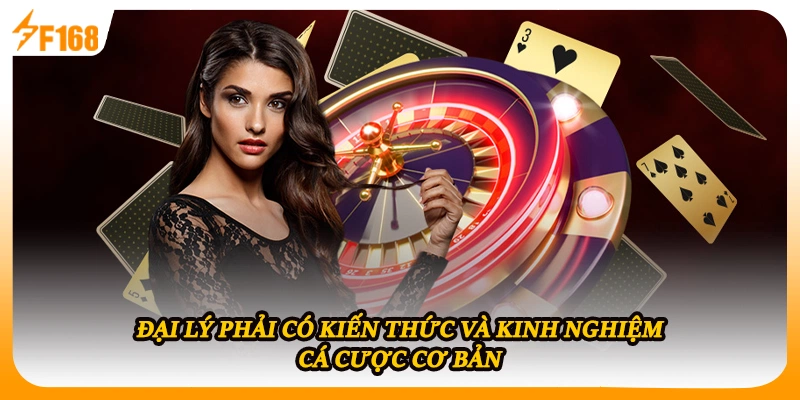 Đại lý phải có kiến thức và kinh nghiệm cá cược cơ bản