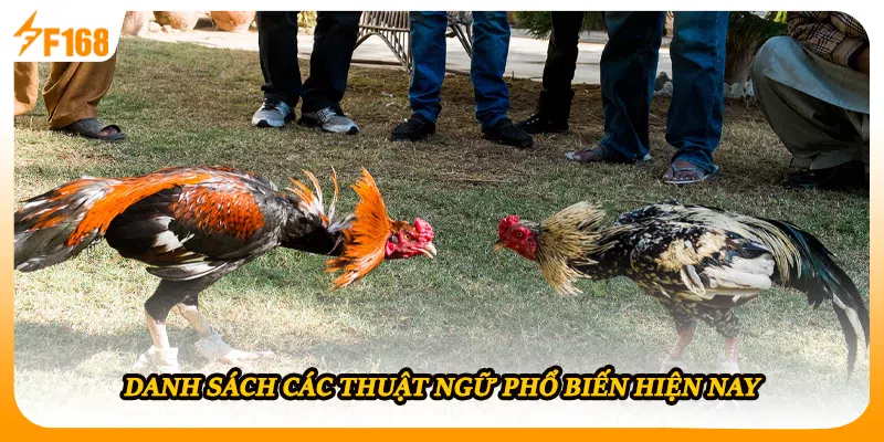 Danh sách các thuật ngữ phổ biến hiện nay