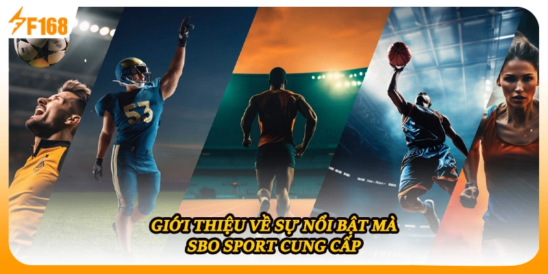 Giới thiệu về sự nổi bật mà SBO sport cung cấp