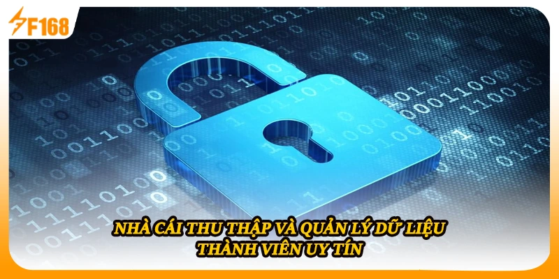 Nhà cái thu thập và quản lý dữ liệu thành viên uy tín